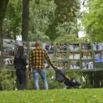 Victoria Regia, Parg foto, Piešťany Zdroj: OOCR Rezort Piešťany