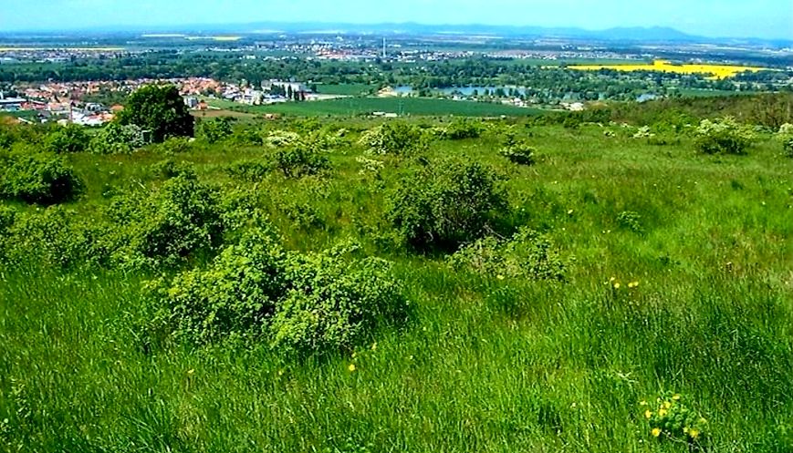 Náučný chodník Sedliská zdroj: Mesto Hlohovec